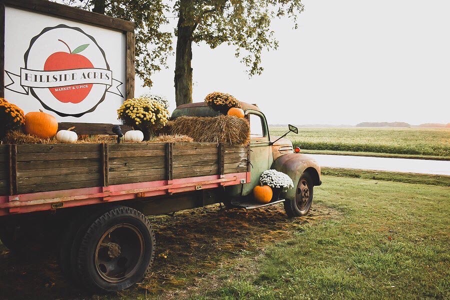 U-Pick farm | Hillside Acres | apple orchard | mums | Pumpkins | pumpkin patch | Rossville | antique truck | countryside | beanfield | 